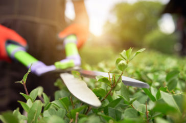AdobeStock_321696688-web