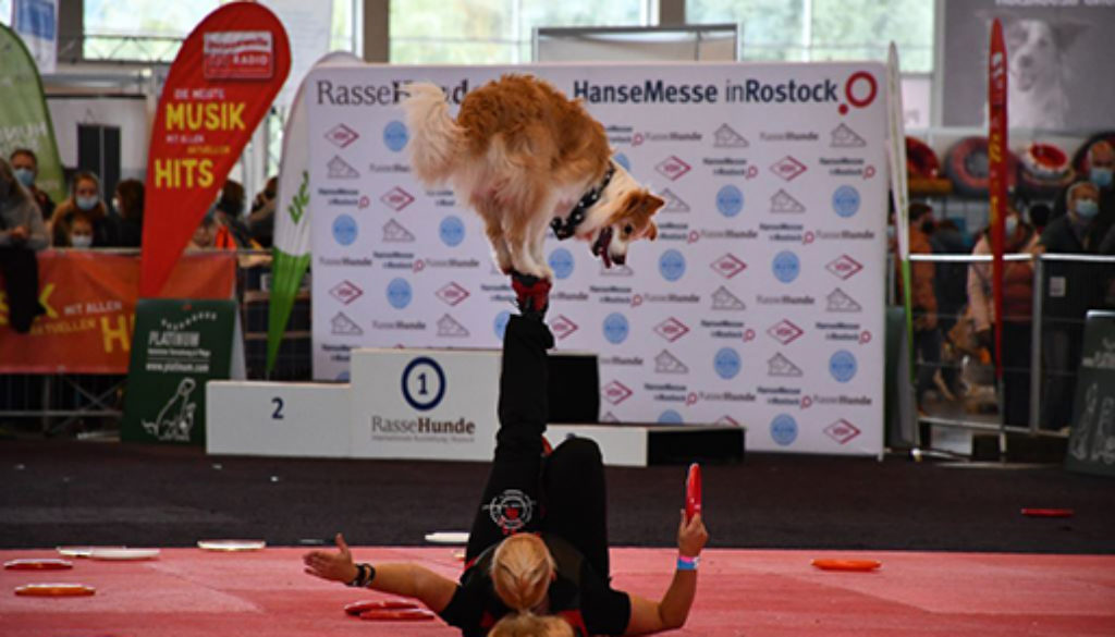 Dogfrisbee im Ehrenring