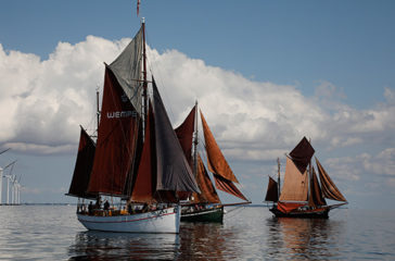 Haikutter1