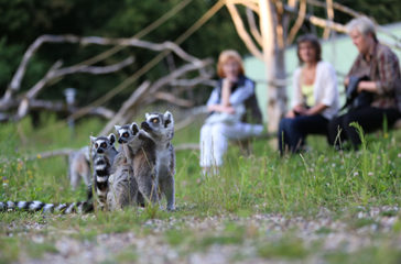Zoo RostockDanny Gohlke (2)
