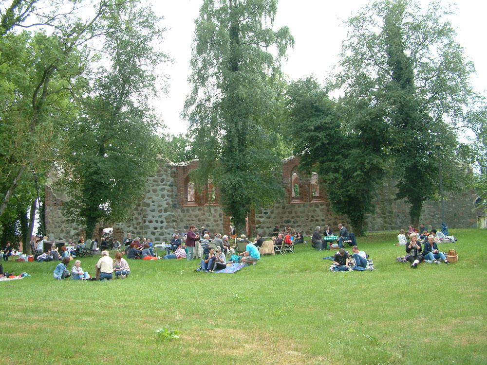 2016-06-19_Picknick-an-der-Ruine-035-web