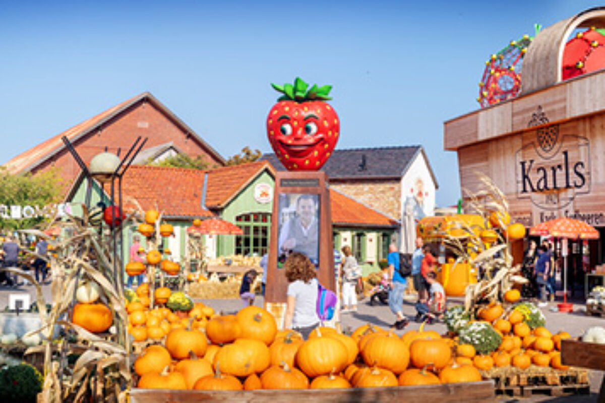 Kürbismarkt