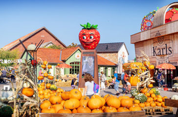 Kürbismarkt