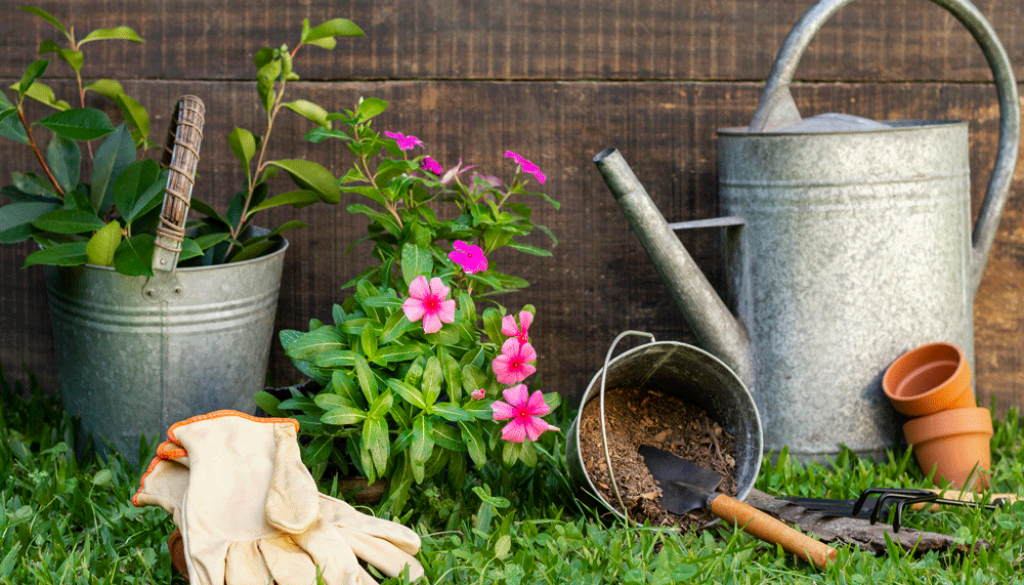 plants-pot-with-watering-can_web