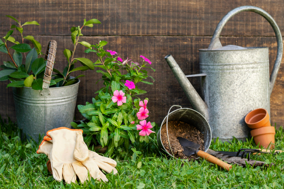 plants-pot-with-watering-can_web
