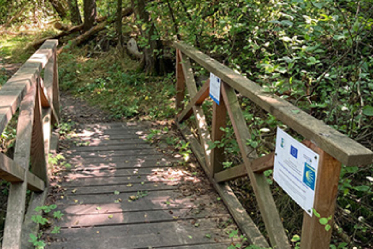Brücke Ruth Dumke