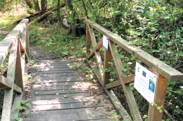 Brücke-Ruth-Dumke