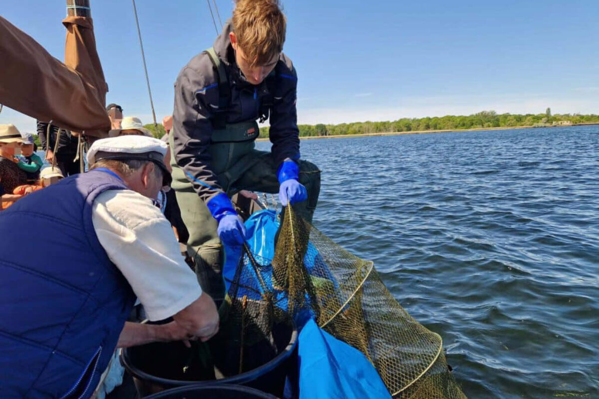 Bootsfahrten_Bild-7-1024x768