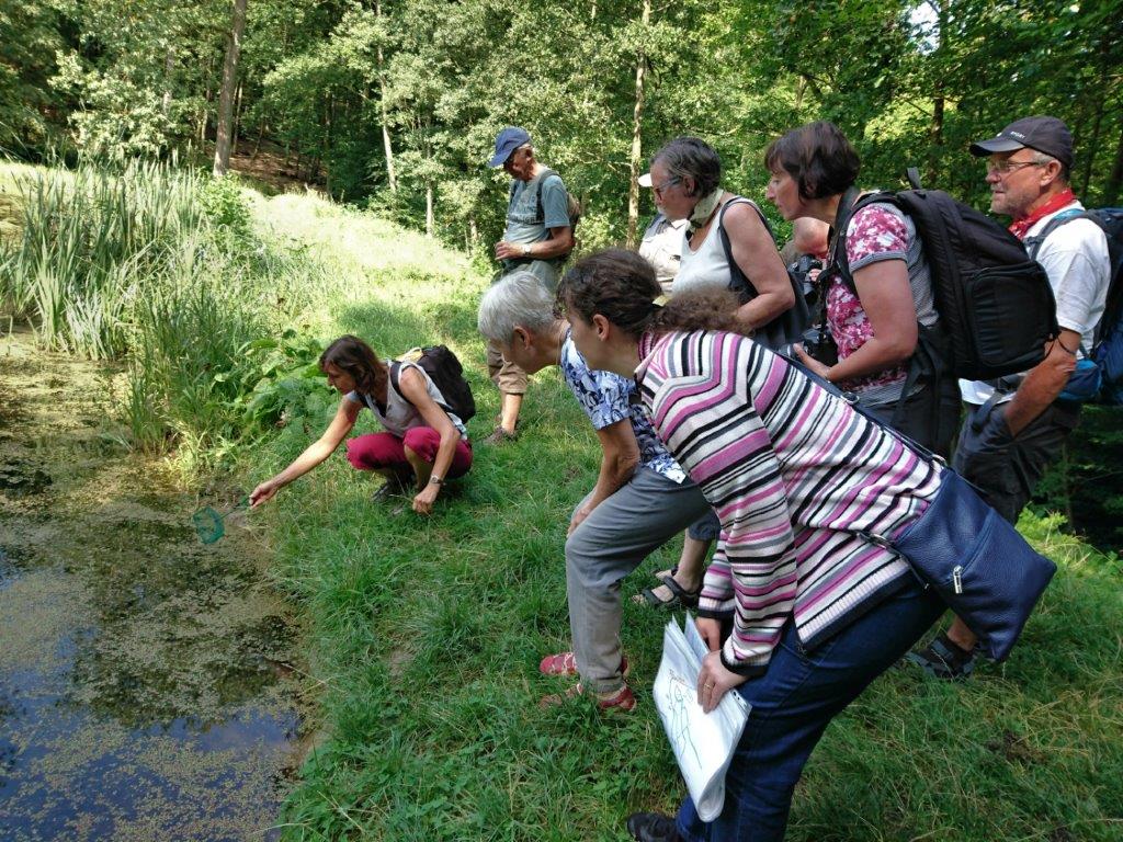 AA Gruppe-Klosterteiche Hütten_(c) Volker Miske_27.08.16
