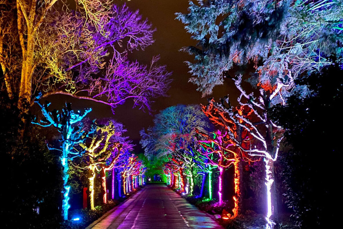 ZooLichtZauber_World-of-Lights-(2)