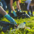 Volunteers clean up waste from a green outdoor area.