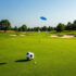 GoFu,-Frisbee,-Golf