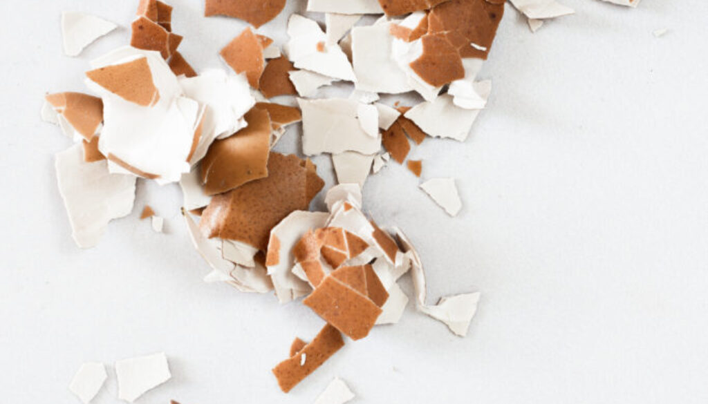 close-up-bunch-broken-egg-shells