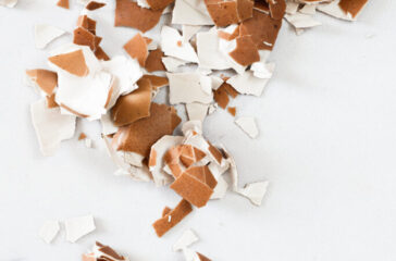 close-up-bunch-broken-egg-shells