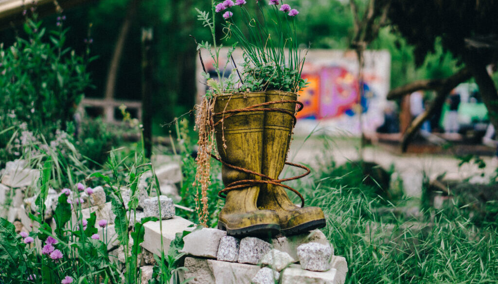 close-up-potted-plant-field