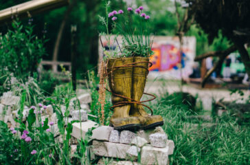 close-up-potted-plant-field