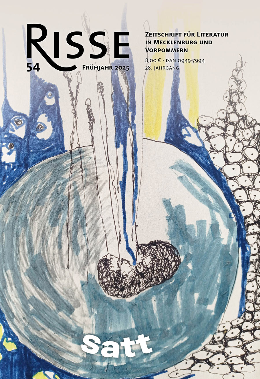 RiSSE_Cover__Heft-54-SATT