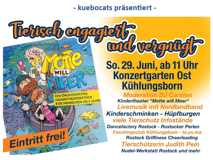 kuebocats-präsentiert-Tierisch-engagiert-und-vergnügt