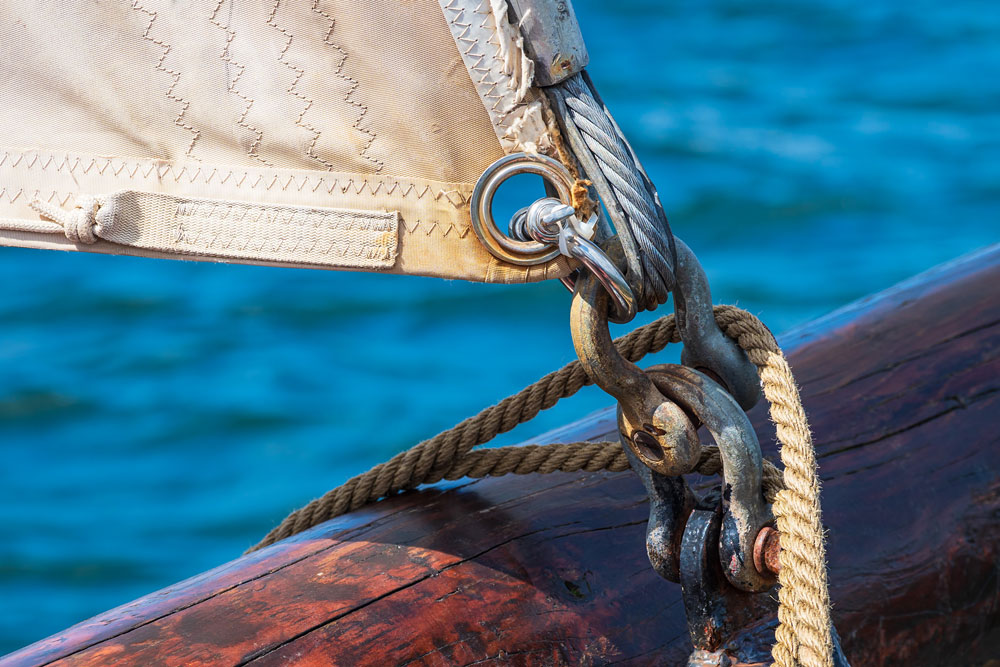 AdobeStock_369235139
