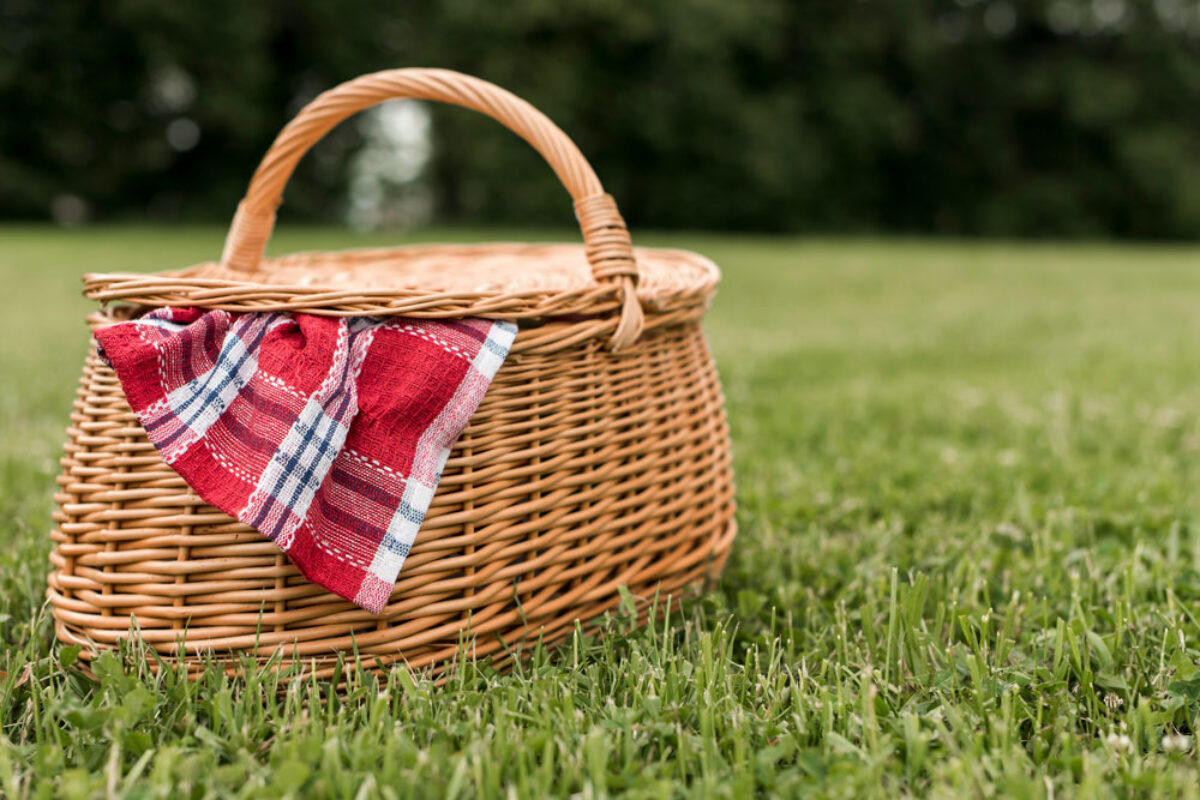 picnic-basket-park-grass