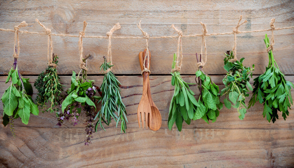 Various herbs hanging on shabby wooden background. Parsley ,ore
