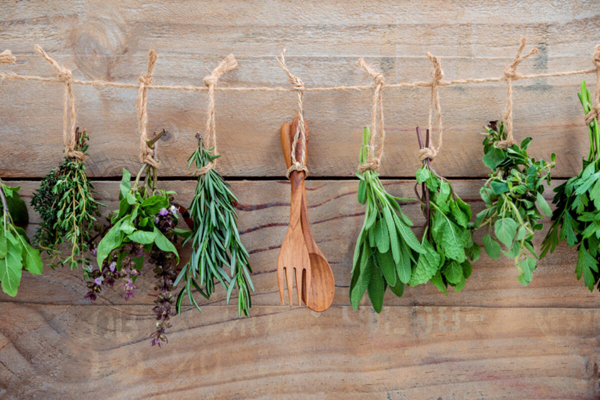 Various herbs hanging on shabby wooden background.  Parsley ,ore