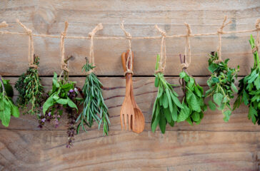 Various herbs hanging on shabby wooden background. Parsley ,ore