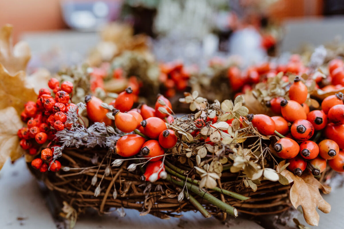 AdobeStock_386609419