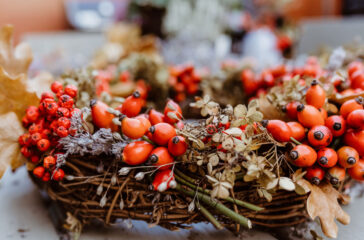 AdobeStock_386609419