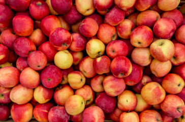 Closeup photo of fresh red and yellow apples