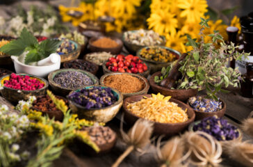 AdobeStock_434053474