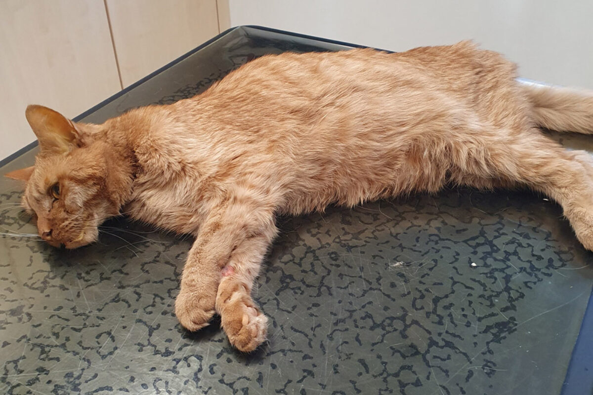 20251123_102336-(002)