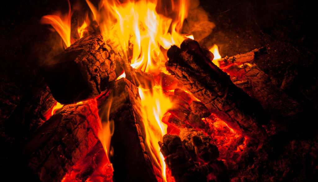 AdobeStock_255195689