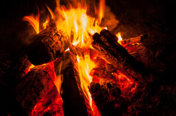 AdobeStock_255195689