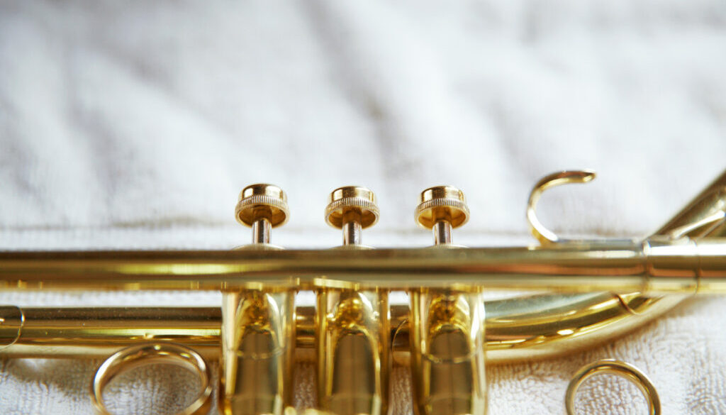 Blasinstrument_AS_279232375