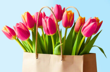 Neues-Keyvisual_OstseeMesse-2026-(blauer-Hintergrund)