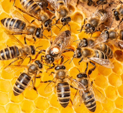 AdobeStock_405165180