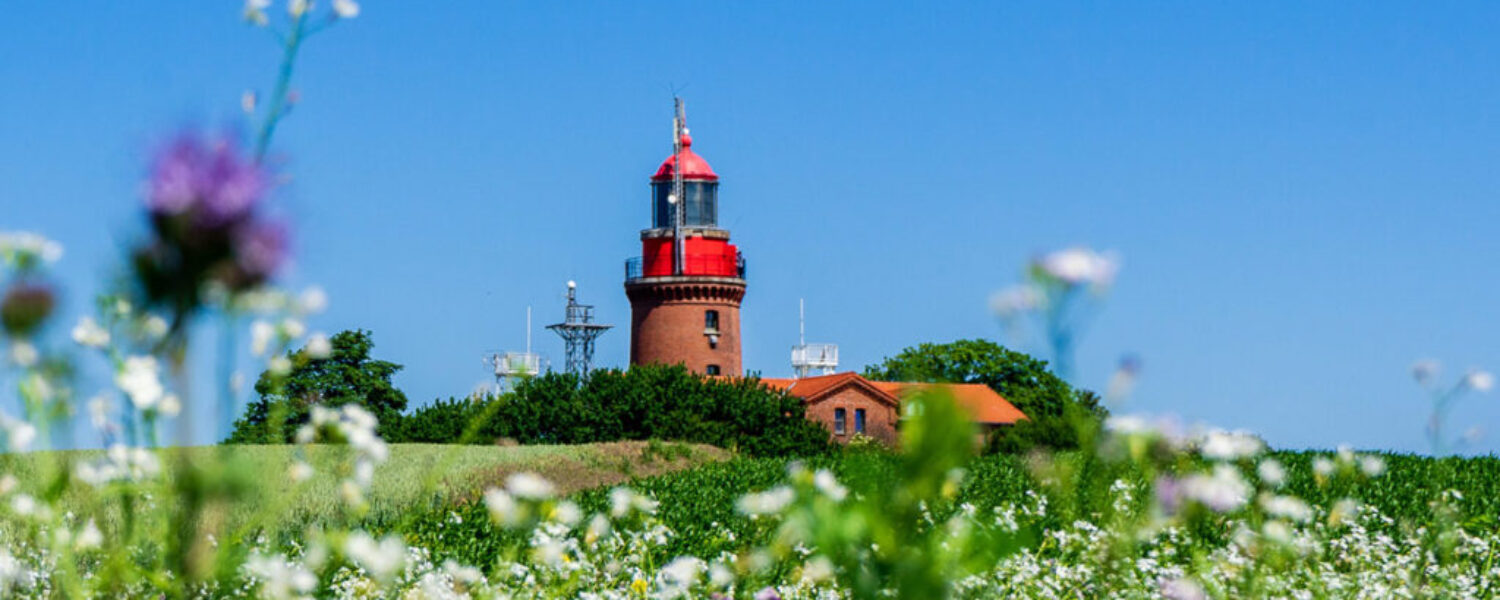 AdobeStock_402029069-2