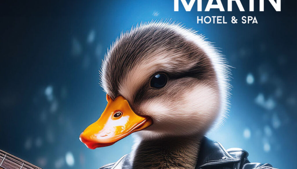 RockTheDuck