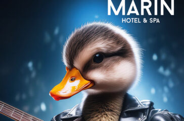 RockTheDuck