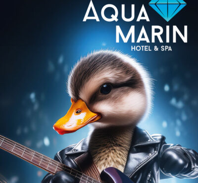RockTheDuck